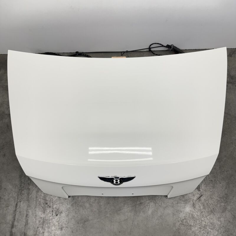 13-18 BENTLEY FLYING SPUR TRUNK LID REAR DECK COMPLETE WHITE OEM