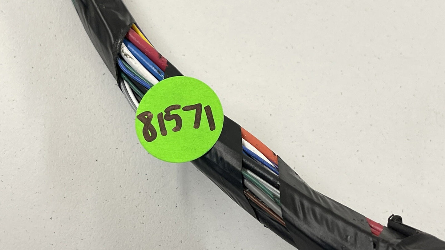 17-20 TESLA MODEL 3 DRIVER LEFT FRONT DOOR WIRING WIRE HARNESS 1057957-00-E OEM