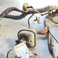 P68034597AE / 68034597AE 2009 DODGE RAM 2500 6.7L ENGINE BAY WIRING WIRE HARNESS CABLE 68034597AE OEM