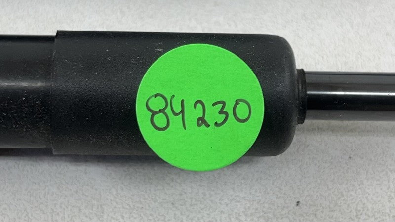 10-16 PORSCHE PANAMERA LEFT & RIGHT FRONT HOOD SHOCK STRUT LIFT SUPPORT PAIR OEM