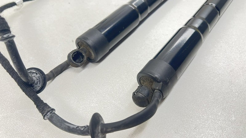 970.512.573.14 / 970 512 573 14 / 97051257314 10-16 PORSCHE PANAMERA REAR TAILGATE POWER LIFT CYLINDER SHOCK STRUT PAIR 