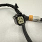 PR3T 14B599 CD / PR3T14B599CD 24-26 Ford Mustang Rear Bumper Wiring Wire Harness PR3T-14B599-CD OEM