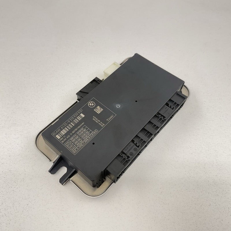 BMW F06 F10 F12 F13 Footwell Light Control Module Temic FRM III OEM