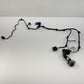 14-20 Maserati Ghibli Driver Left Rear Door Wiring Wire Harness 670008607 OEM