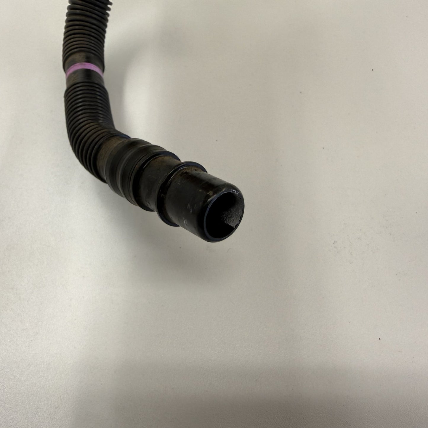 2021-2026 Lexus IS300 IS350 IS500 Fuel Evap Vapor Charcoal Emission Canister OEM