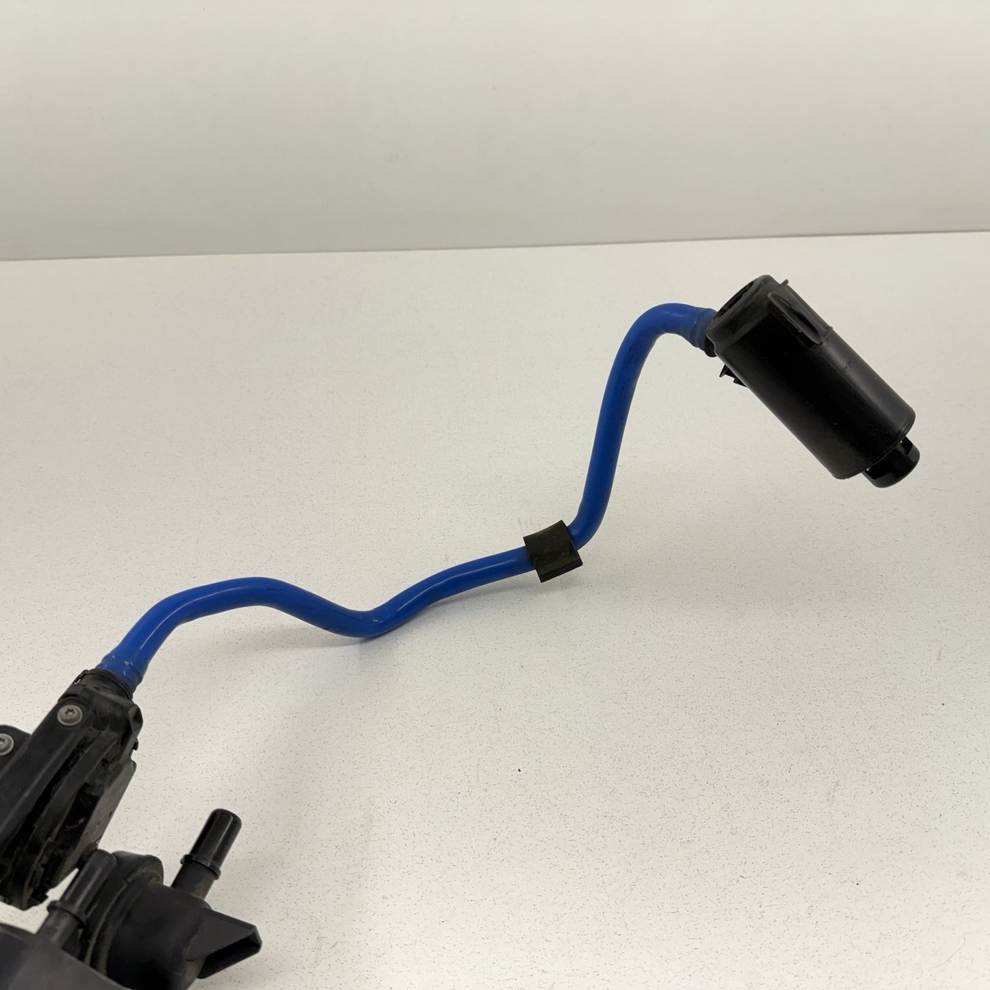 BMW F80 F82 F87 M2 M3 M4 Fuel Evap Vapor Charcoal Emission Canister 7244151 OEM