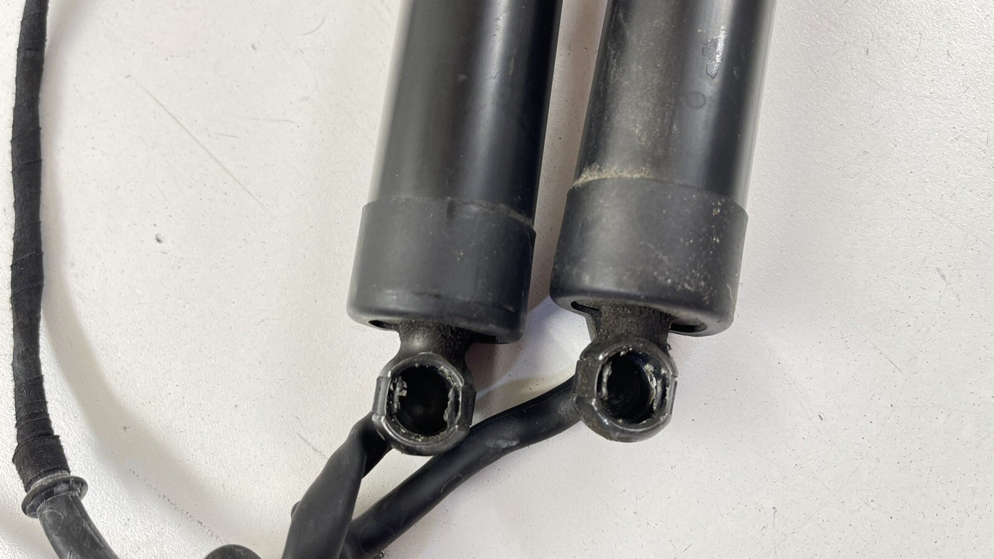 10-16 PORSCHE PANAMERA REAR TAILGATE POWER LIFT CYLINDER SHOCK STRUT PAIR OEM