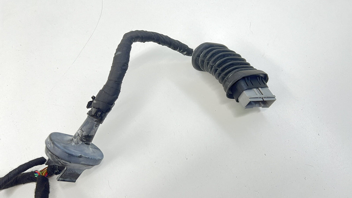 13-18 BENTLEY FLYING SPUR PASSENGER RIGHT FRONT DOOR WIRING WIRE HARNESS OEM