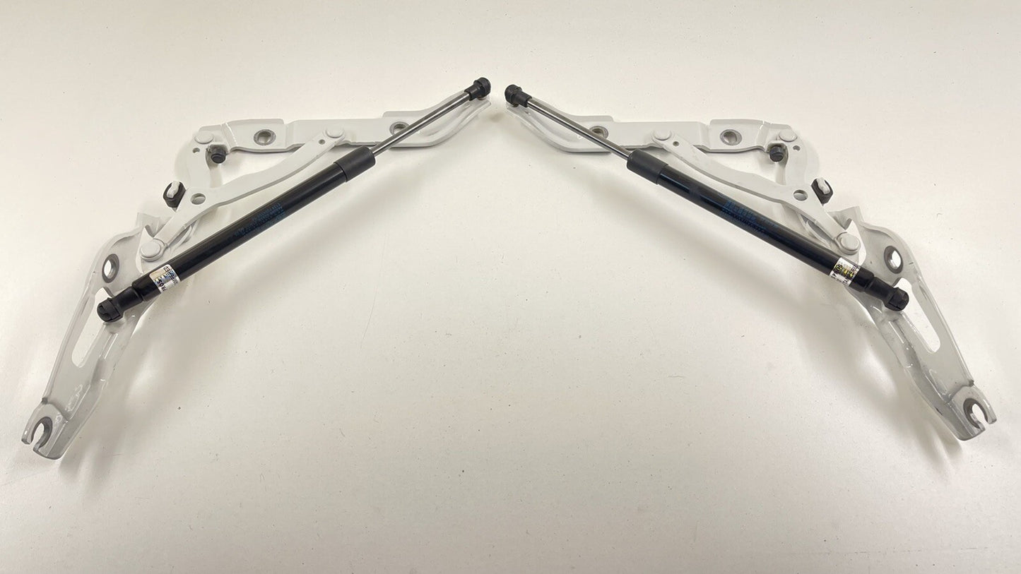 16-21 BMW M2 LEFT RIGHT REAR TRUNK HINGE SUPPORT MOUNT BRACKET W/ SHOCK PAIR OEM
