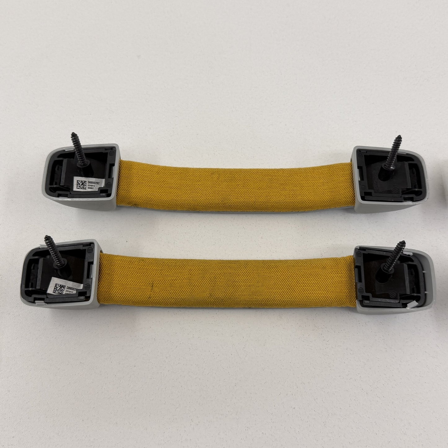 2022-2024 Rivian R1S Interior Headliner Roof Grab Handle Set Ocean Coast OEM