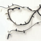 22-24 CADILLAC CT4 V BLACKWING REAR SUBFRAME WIRE HARNESS W/ WHEEL ABS WIRES OEM