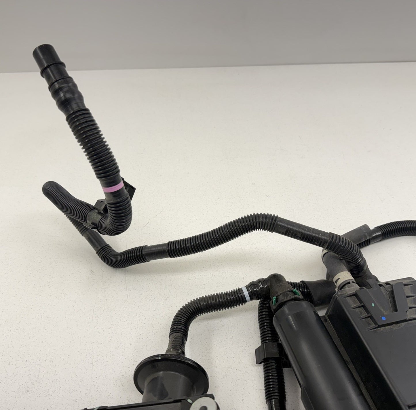 21-26 Lexus IS300 IS350 IS500 Fuel Evap Vapor Charcoal Emission Canister OEM