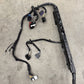 2024 Ford Mustang GT Convertible Chassis Main Body Wiring Wire Harness OEM