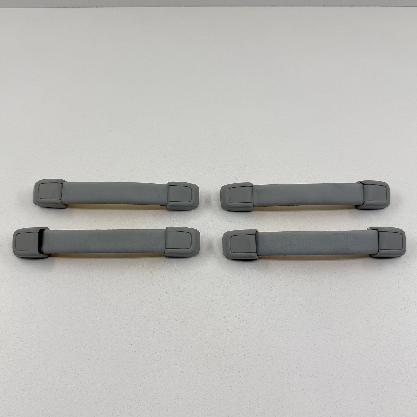 2022-2024 Rivian R1S Interior Headliner Roof Grab Handle Set Ocean Coast OEM