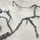 22-24 CADILLAC CT5 V BLACKWING FRONT ENGINE BAY WIRING WIRE HARNESS 85616021 OEM