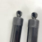 10-16 PORSCHE PANAMERA REAR TAILGATE POWER LIFT CYLINDER SHOCK STRUT PAIR OEM