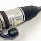 13-18 BENTLEY FLYING SPUR LEFT AND RIGHT REAR AIR SHOCK ABSORBER SUSPENSION OEM