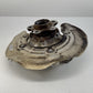 18-24 BMW G01 X3 Passenger Right Rear Spindle Knuckle Hub Wheel Bearing OEM