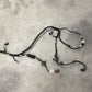 2024 Ford Mustang GT Convertible Chassis Main Body Wiring Wire Harness OEM