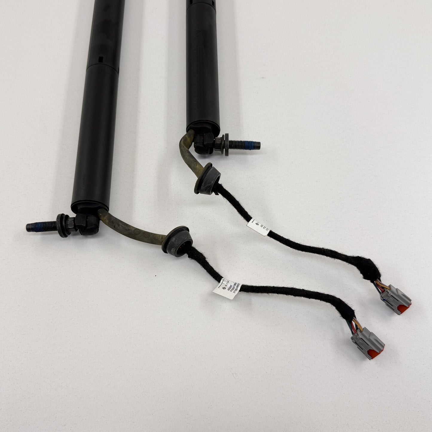 2022-2024 Rivian R1S Rear Power Tailgate Lift Support Shock Strut Pair OEM