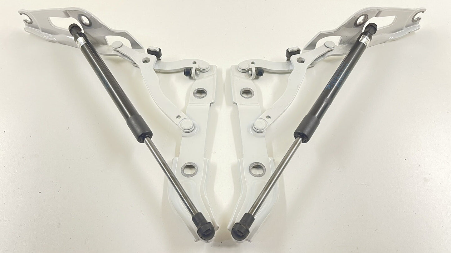 16-21 BMW M2 LEFT RIGHT REAR TRUNK HINGE SUPPORT MOUNT BRACKET W/ SHOCK PAIR OEM