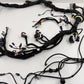 2022-2024 Rivian R1S R1T Front Body Firewall Wiring Harness PT00521772-B OEM