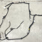2024 ACURA INTEGRA TYPE S CHASSIS MAIN BODY WIRING WIRE HARNESS CABLE OEM