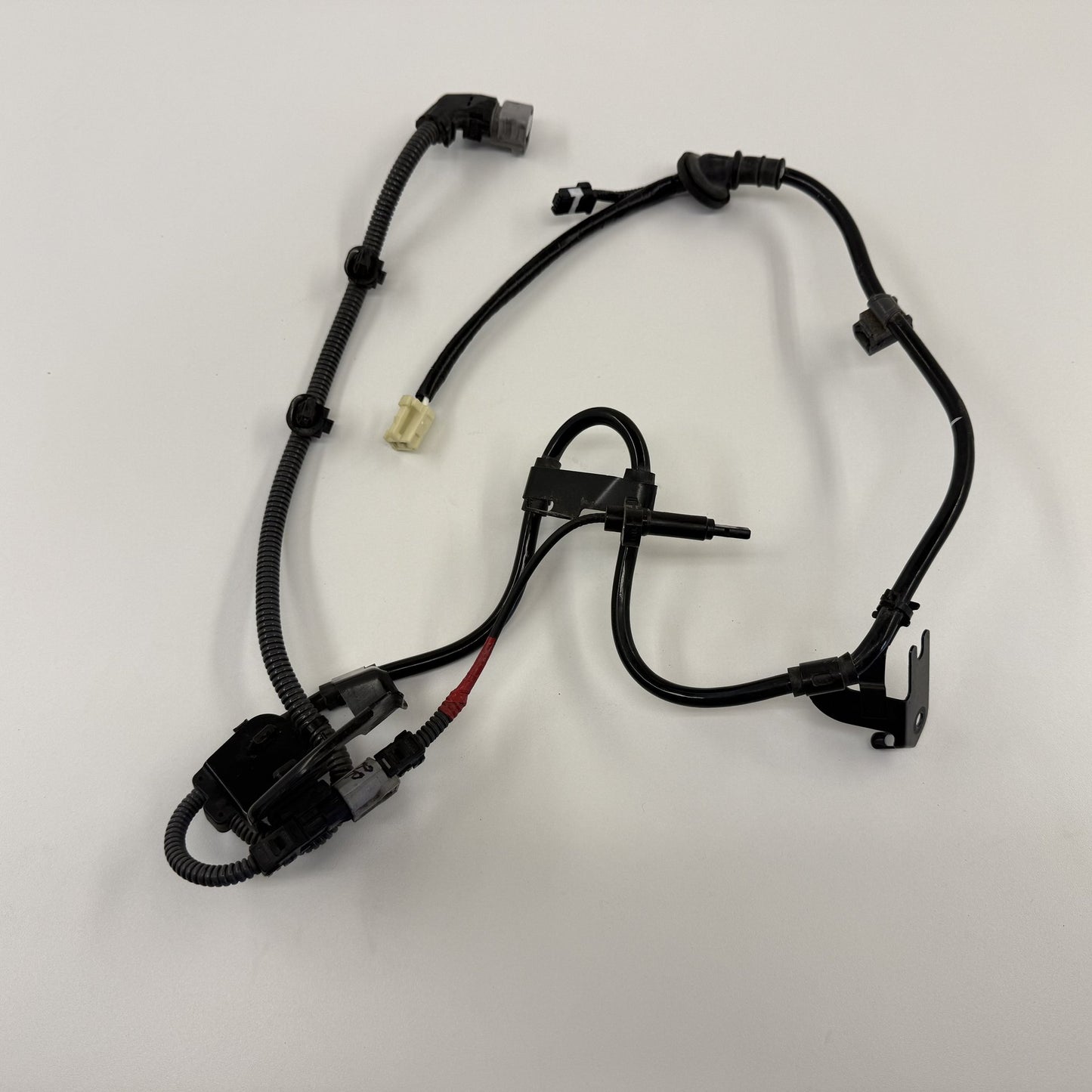 2021-2026 Lexus IS350 IS500 Right Rear ABS Wheel Speed Sensor Wire Harness OEM