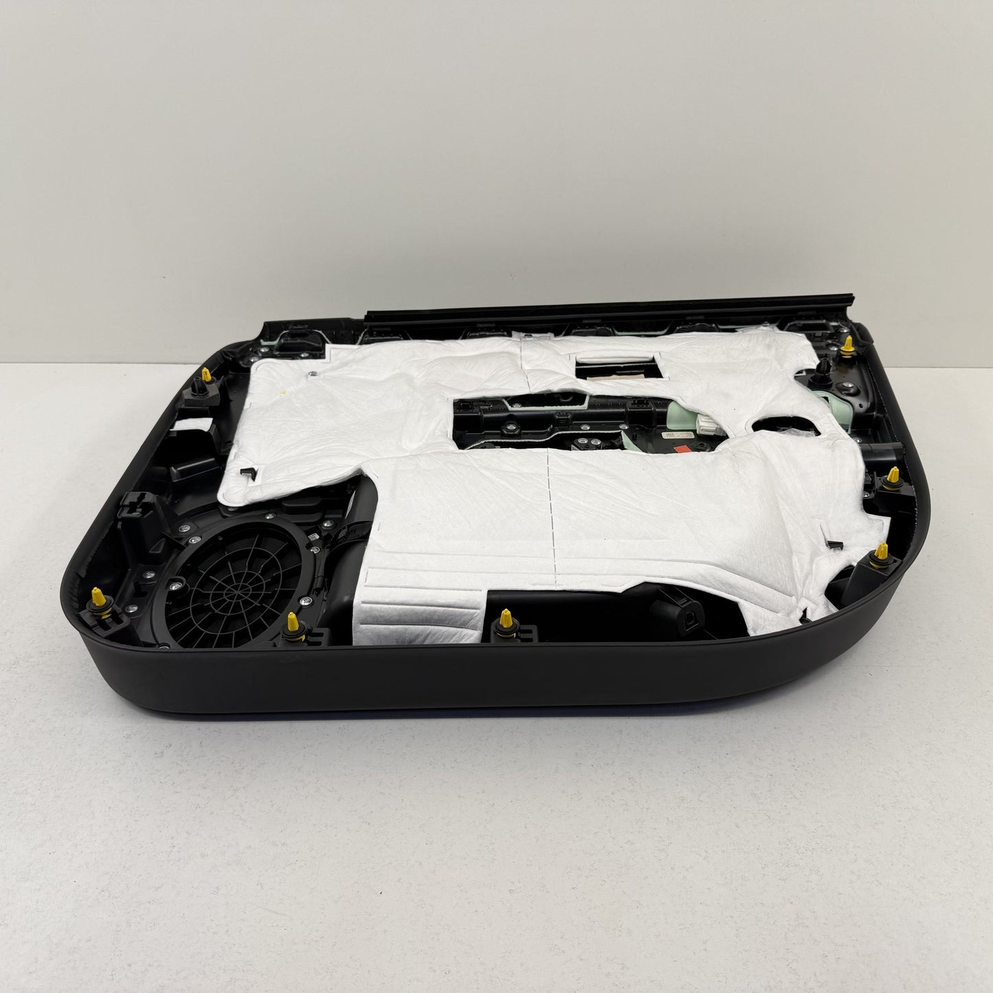 2022-2024 Rivian R1S Left Front Interior Door Trim Panel Ocean Coast OEM