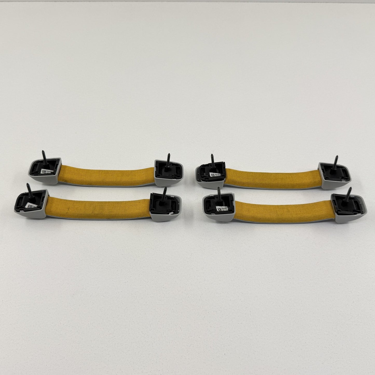 2022-2024 Rivian R1S Interior Headliner Roof Grab Handle Set Ocean Coast OEM