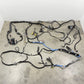 2014-2015 Chevrolet Camaro SS Chassis Main Body Wiring Harness 23170074 OEM