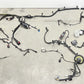 22-24 CADILLAC CT5 V BLACKWING FRONT ENGINE BAY WIRING WIRE HARNESS 85616021 OEM